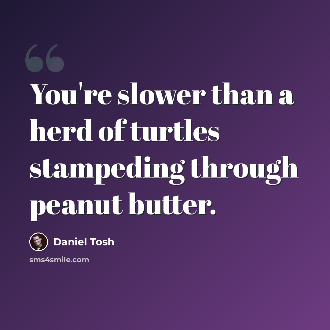 “You're slower than a herd of turtles stampeding through peanut butter.” quote by Daniel Tosh