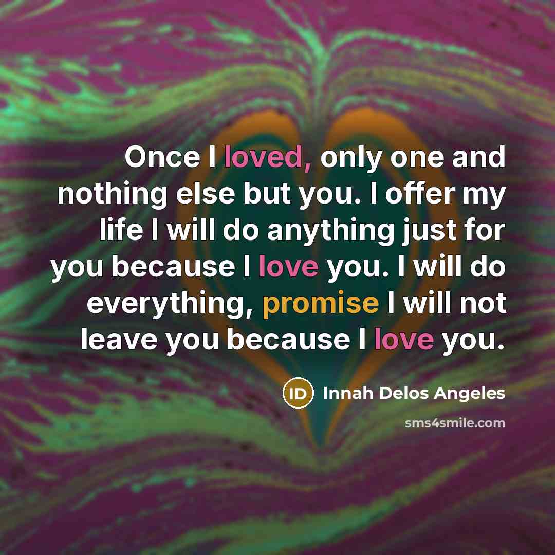 “Once I loved, only one and nothing else but you. I offer my life I will do anything just for you because I love you. I will do everything, promise I will not leave you because I love you.” quote by Innah Delos Angeles