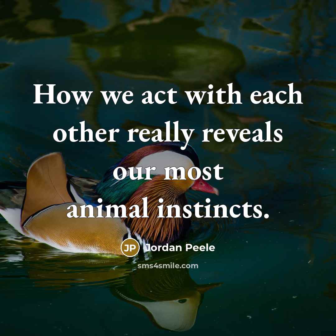 “How we act with each other really reveals our most animal instincts.” quote by Jordan Peele