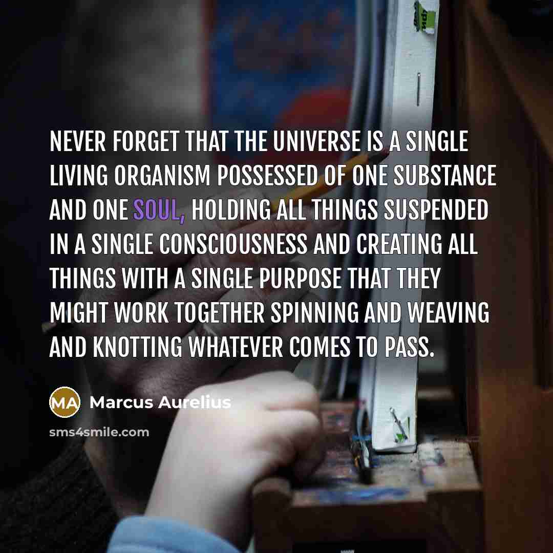 “Never forget that the universe is a single living organism possessed of one substance and one soul, holding all things suspended in a single consciousness and creating all things with a single purpose that they might work together spinning and weaving and knotting whatever comes to pass.” quote by Marcus Aurelius