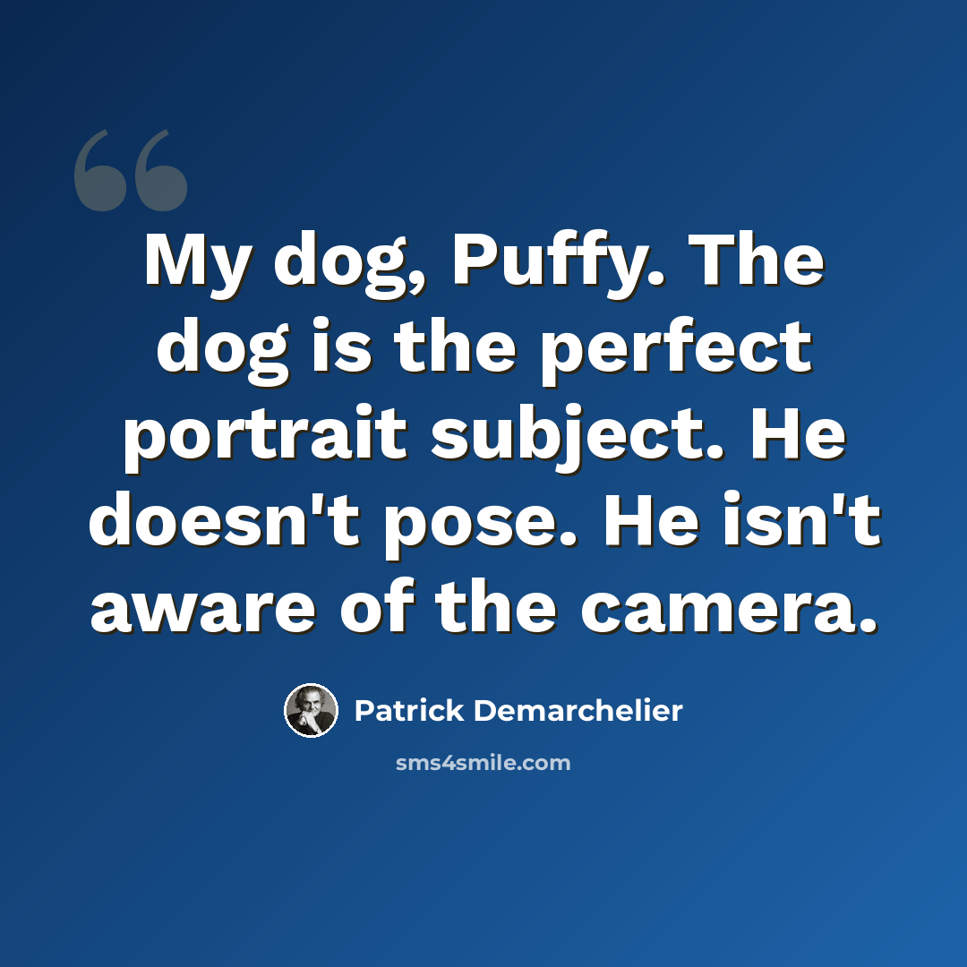 “My dog, Puffy. The dog is the perfect portrait subject. He doesn't pose. He isn't aware of the camera.” quote by Patrick Demarchelier