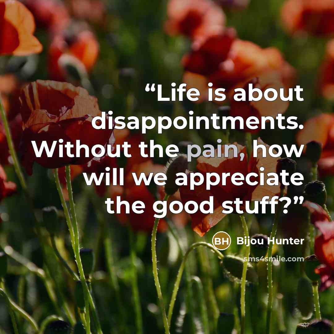 “Life is about disappointments. Without the pain, how will we appreciate the good stuff?” quote by Bijou Hunter