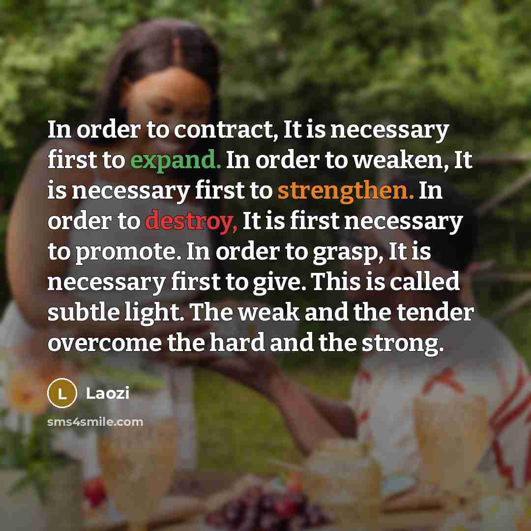 “In order to contract, It is necessary first to expand. In order to weaken, It is necessary first to strengthen. In order to destroy, It is first necessary to promote. In order to grasp, It is necessary first to give. This is called subtle light. The weak and the tender overcome the hard and the…” quote by Laozi