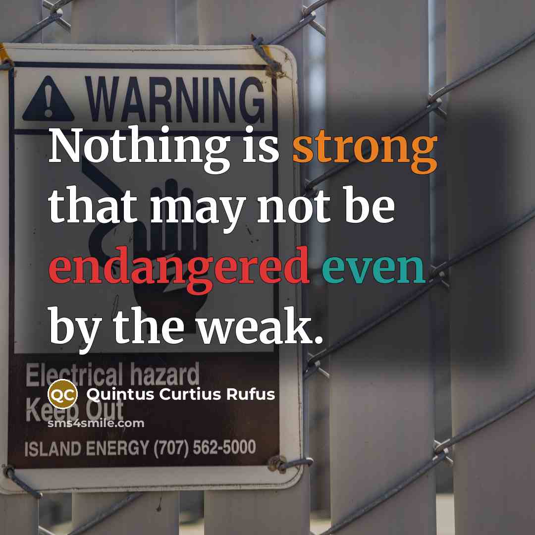 “Nothing is strong that may not be endangered even by the weak.” quote by Quintus Curtius Rufus