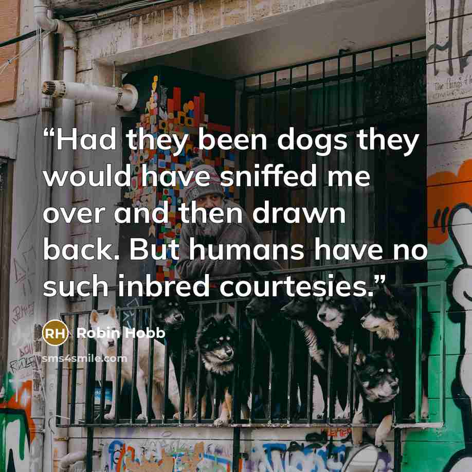 “Had they been dogs they would have sniffed me over and then drawn back. But humans have no such inbred courtesies.” quote by Robin Hobb