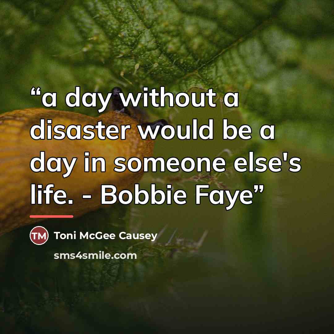 “a day without a disaster would be a day in someone else's life. - Bobbie Faye” quote by Toni McGee Causey