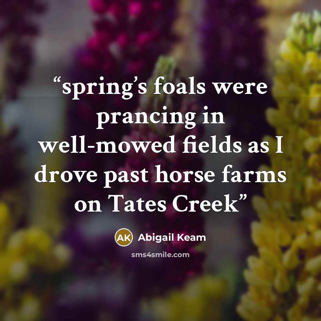 “spring’s foals were prancing in well-mowed fields as I drove past horse farms on Tates Creek” quote by Abigail Keam