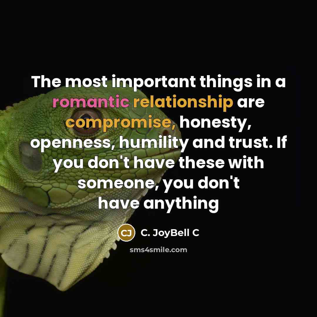 “The most important things in a romantic relationship are compromise, honesty, openness, humility and trust. If you don't have these with someone, you don't have anything” quote by C. JoyBell C