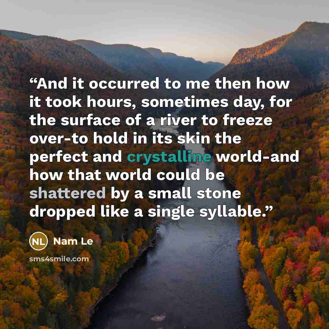 “And it occurred to me then how it took hours, sometimes day, for the surface of a river to freeze over-to hold in its skin the perfect and crystalline world-and how that world could be shattered by a small stone dropped like a single syllable.” quote by Nam Le