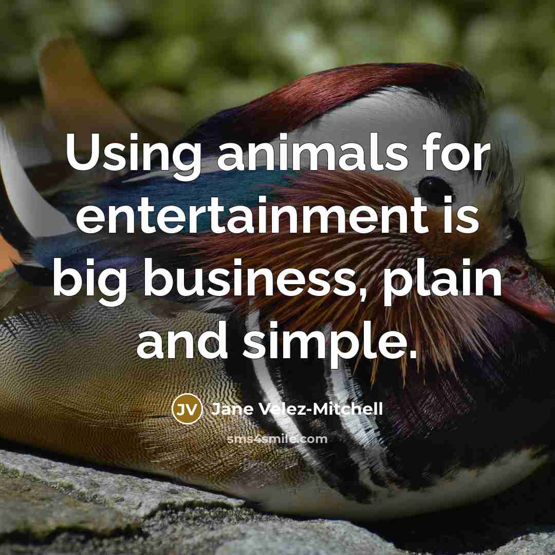 “Using animals for entertainment is big business, plain and simple.” quote by Jane Velez-Mitchell