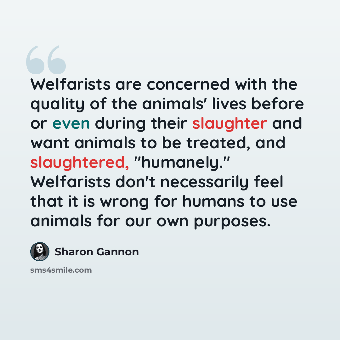 “Welfarists are concerned with the quality of the animals' lives before or even during their slaughter and want animals to be treated, and slaughtered, "humanely." Welfarists don't necessarily feel that it is wrong for humans to use animals for our own purposes.” quote by Sharon Gannon
