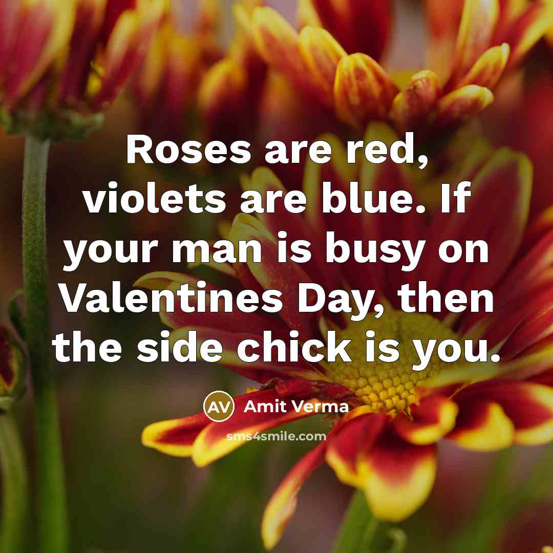 “Roses are red, violets are blue. If your man is busy on Valentines Day, then the side chick is you.” quote by Amit Verma
