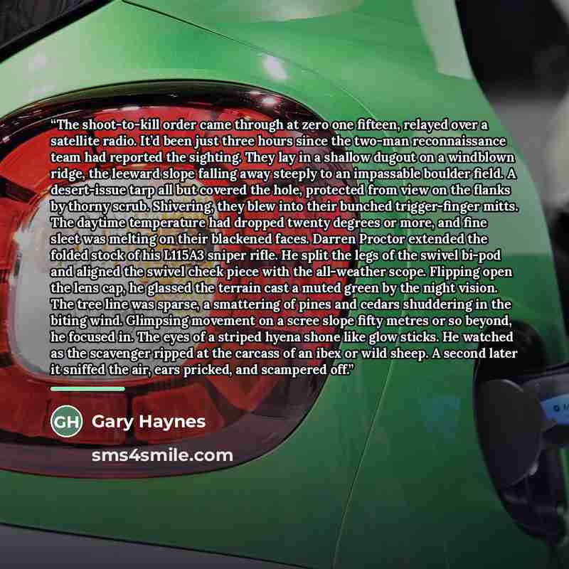 “The shoot-to-kill order came through at zero one fifteen, relayed over a satellite radio. It’d been just three hours since the two-man reconnaissance team had reported the sighting. They lay in a shallow dugout on a windblown ridge, the leeward slope falling away steeply to an impassable boulder…” quote by Gary Haynes