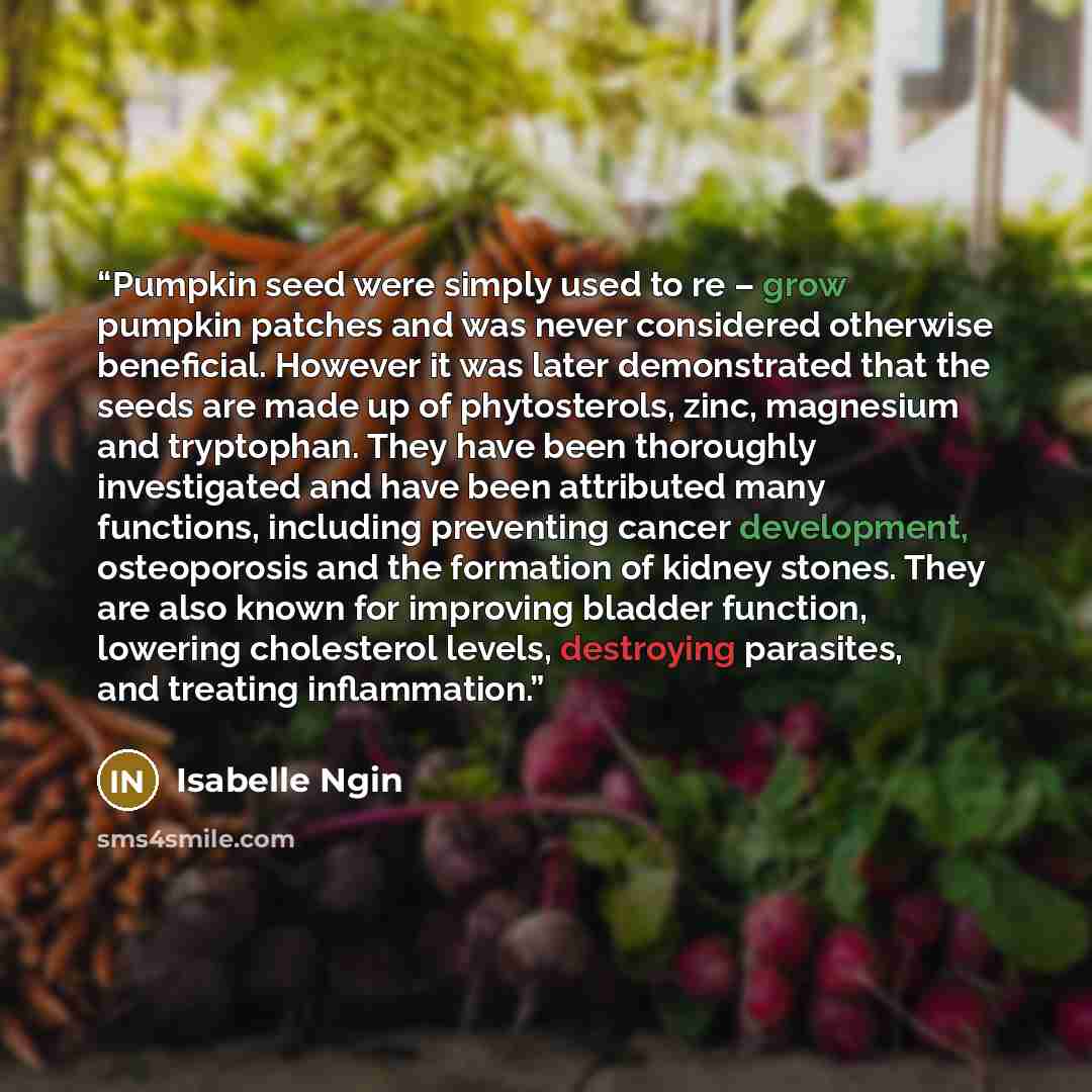 “Pumpkin seed were simply used to re – grow pumpkin patches and was never considered otherwise beneficial. However it was later demonstrated that the seeds are made up of phytosterols, zinc, magnesium and tryptophan. They have been thoroughly investigated and have been attributed many functions…” quote by Isabelle Ngin