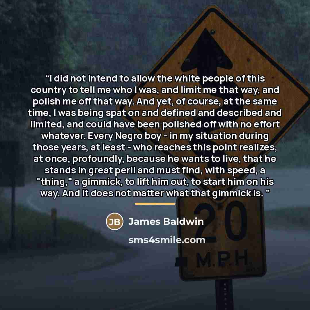 “I did not intend to allow the white people of this country to tell me who I was, and limit me that way, and polish me off that way. And yet, of course, at the same time, I was being spat on and defined and described and limited, and could have been polished off with no effort whatever. Every Negro…” quote by James Baldwin