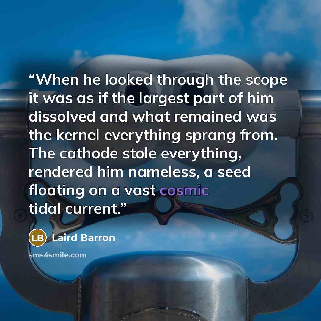 “When he looked through the scope it was as if the largest part of him dissolved and what remained was the kernel everything sprang from. The cathode stole everything, rendered him nameless, a seed floating on a vast cosmic tidal current.” quote by Laird Barron