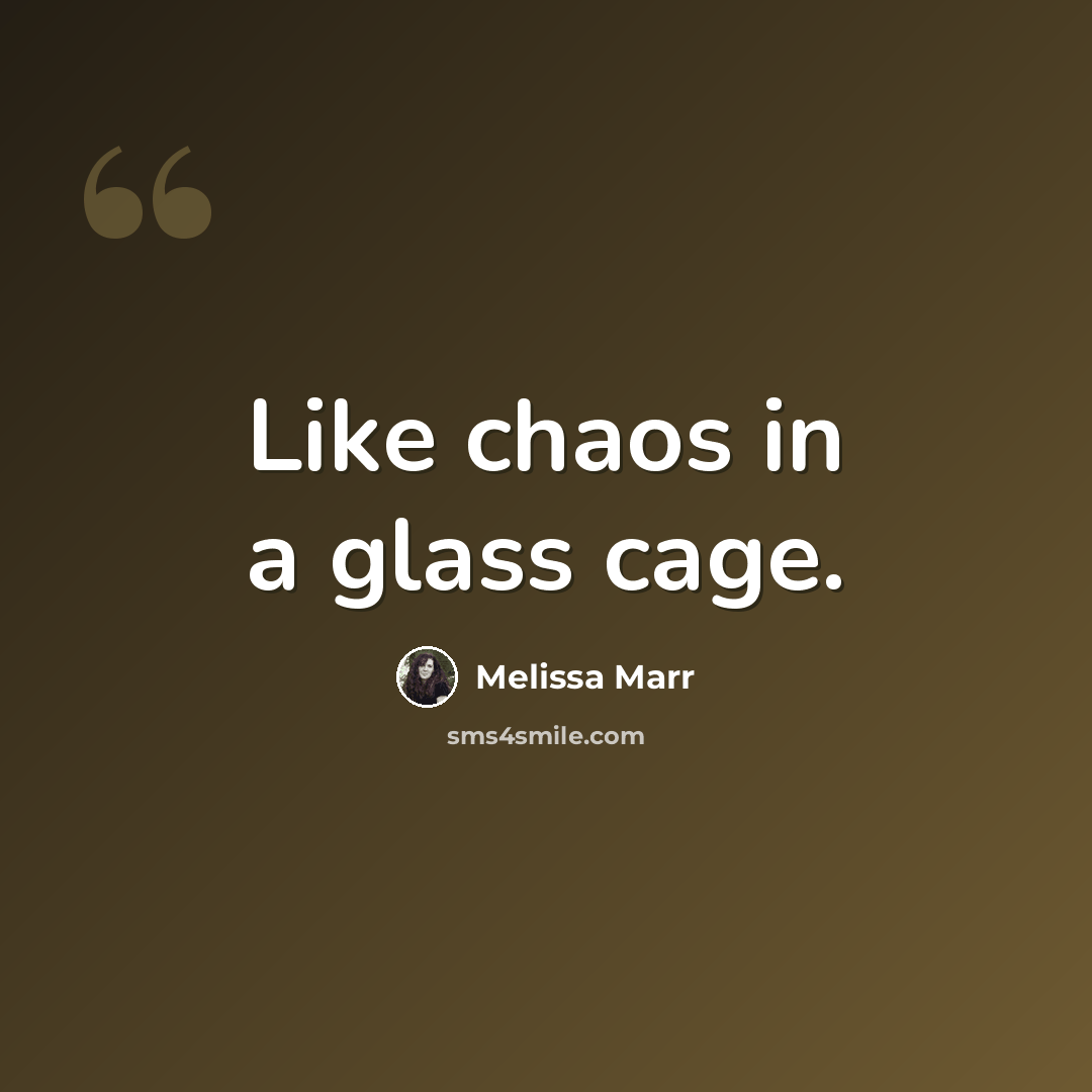 “Like chaos in a glass cage.” quote by Melissa Marr