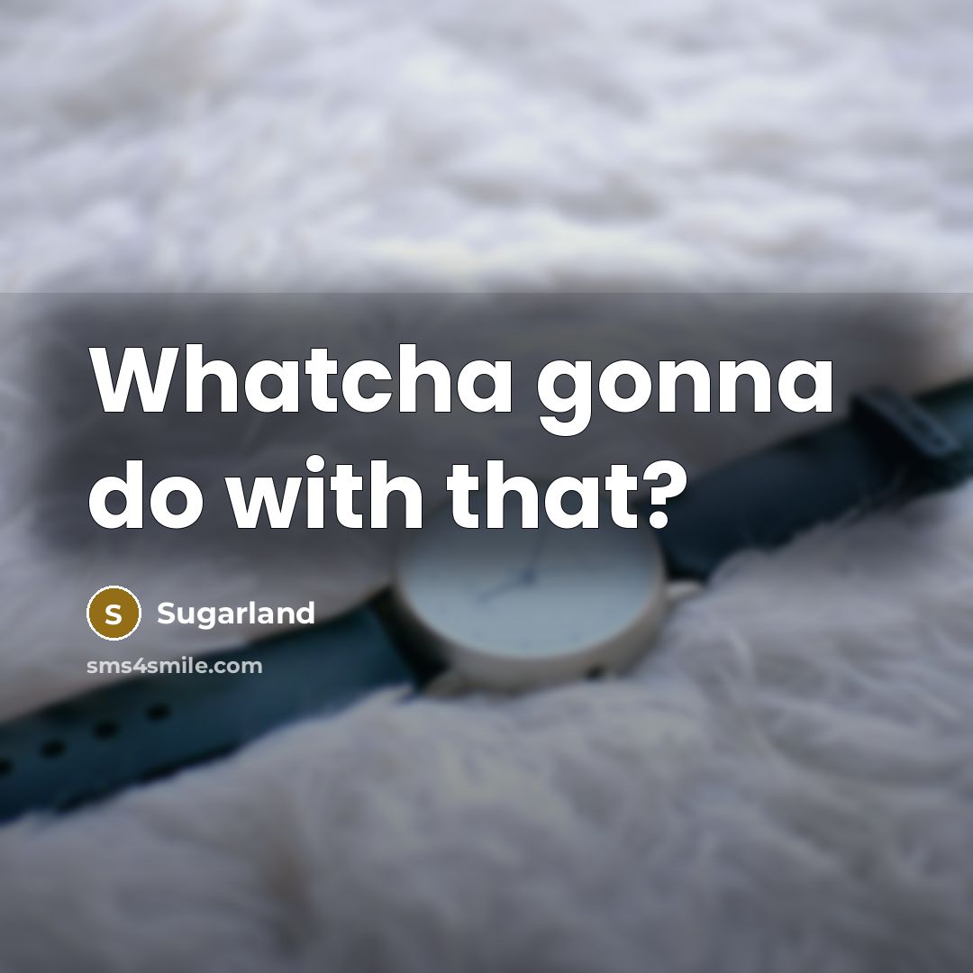“Whatcha gonna do with that?” quote by Sugarland