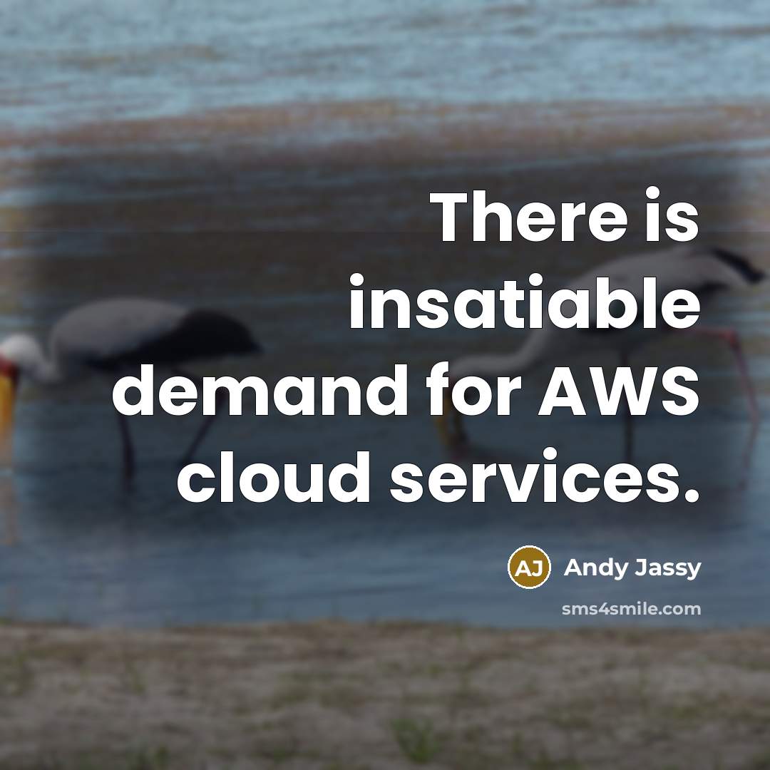“There is insatiable demand for AWS cloud services.” quote by Andy Jassy