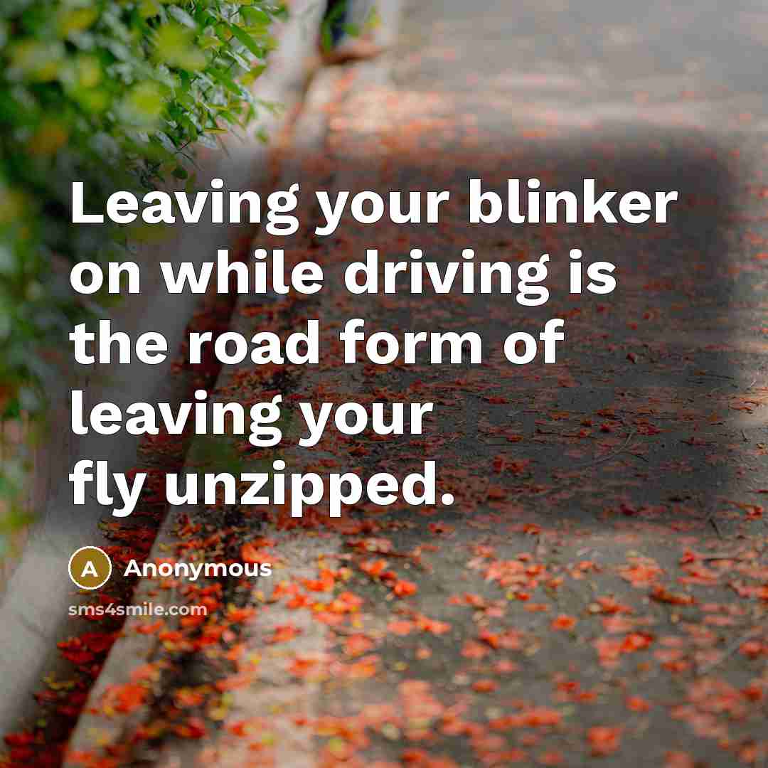 “Leaving your blinker on while driving is the road form of leaving your fly unzipped.” quote by Anonymous