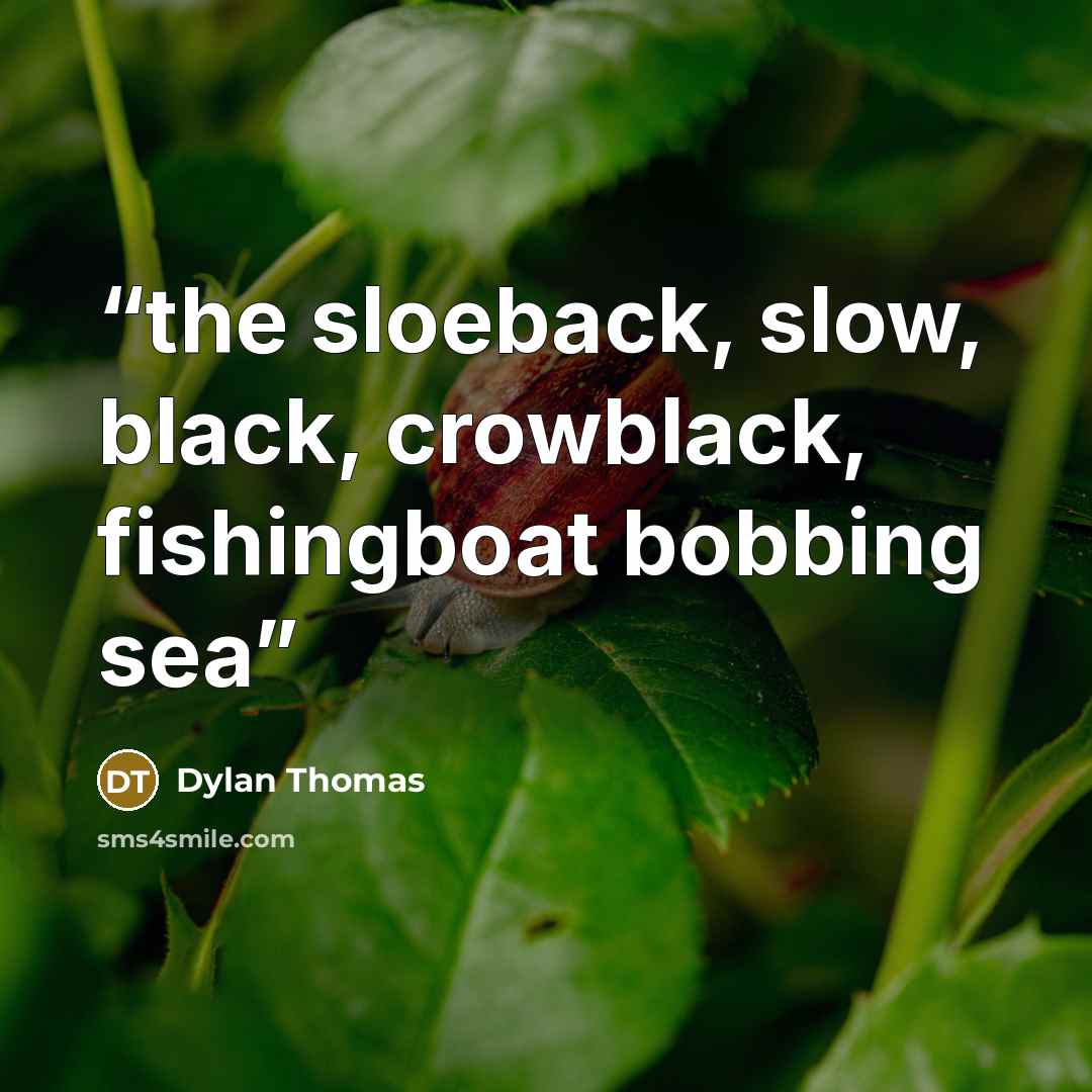 “the sloeback, slow, black, crowblack, fishingboat bobbing sea” quote by Dylan Thomas