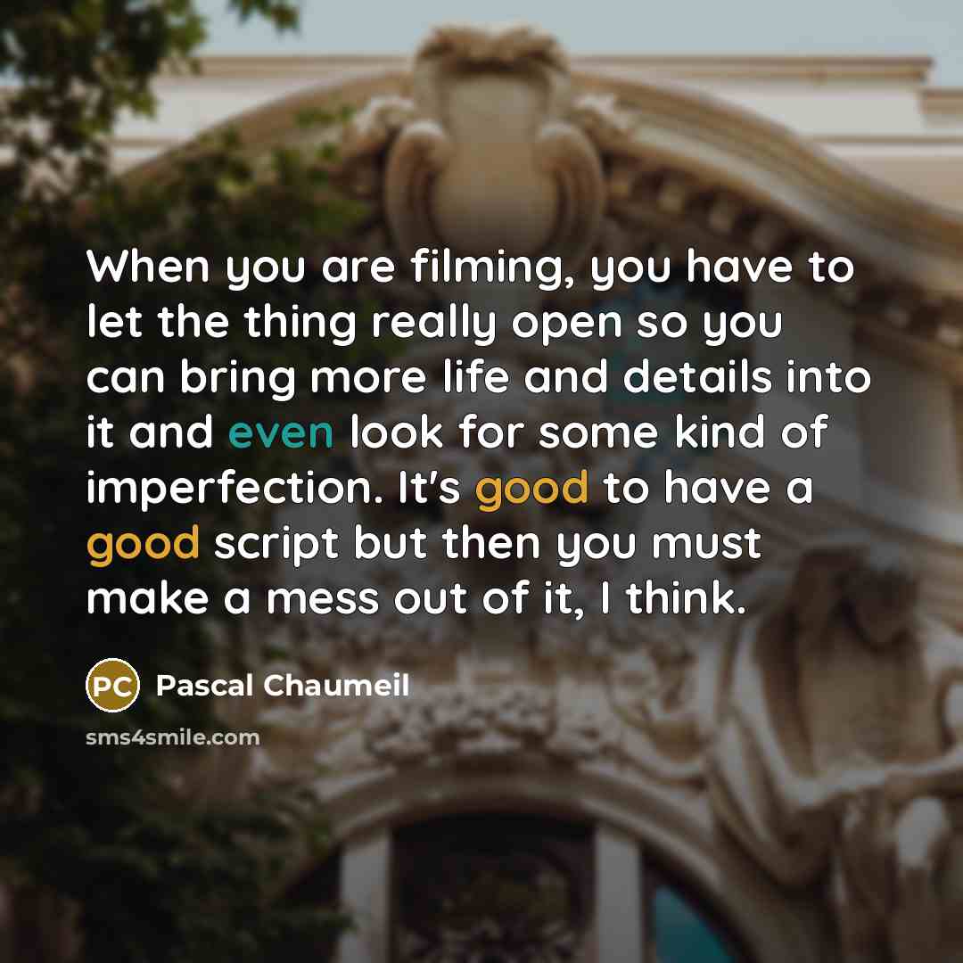 “When you are filming, you have to let the thing really open so you can bring more life and details into it and even look for some kind of imperfection. It's good to have a good script but then you must make a mess out of it, I think.” quote by Pascal Chaumeil
