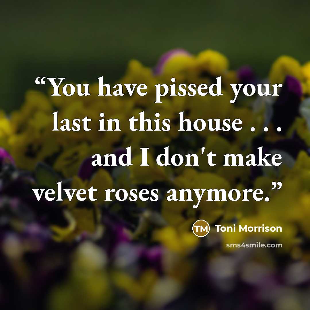 “You have pissed your last in this house . . . and I don't make velvet roses anymore.” quote by Toni Morrison