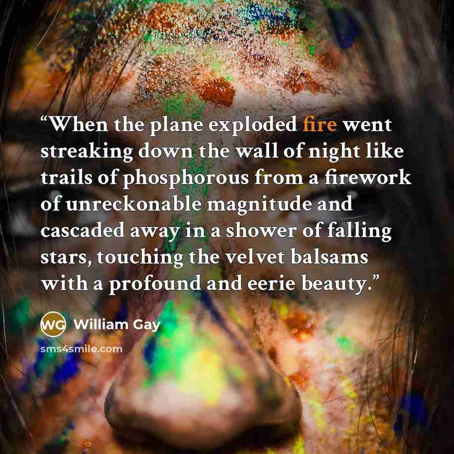 “When the plane exploded fire went streaking down the wall of night like trails of phosphorous from a firework of unreckonable magnitude and cascaded away in a shower of falling stars, touching the velvet balsams with a profound and eerie beauty.” quote by William Gay