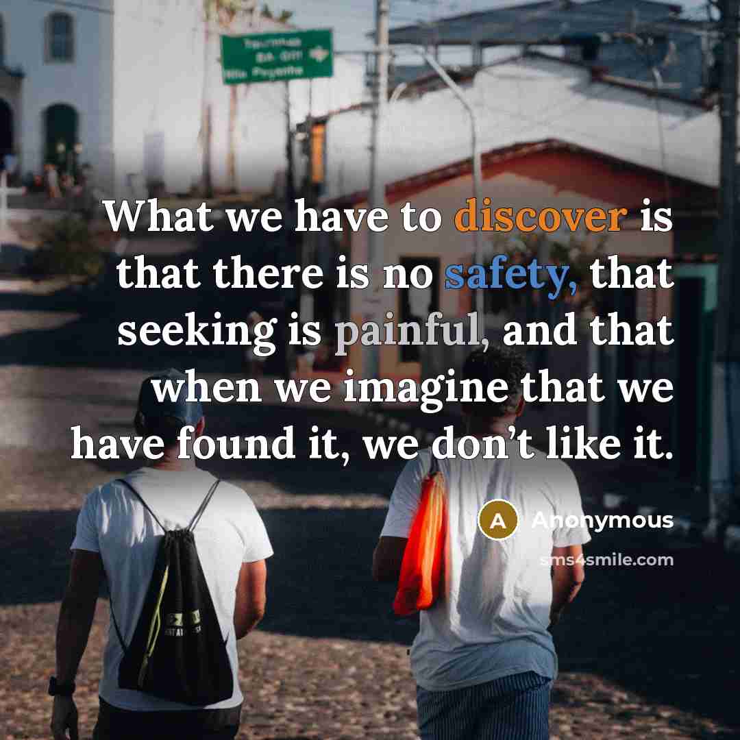 “What we have to discover is that there is no safety, that seeking is painful, and that when we imagine that we have found it, we don’t like it.” quote by Anonymous