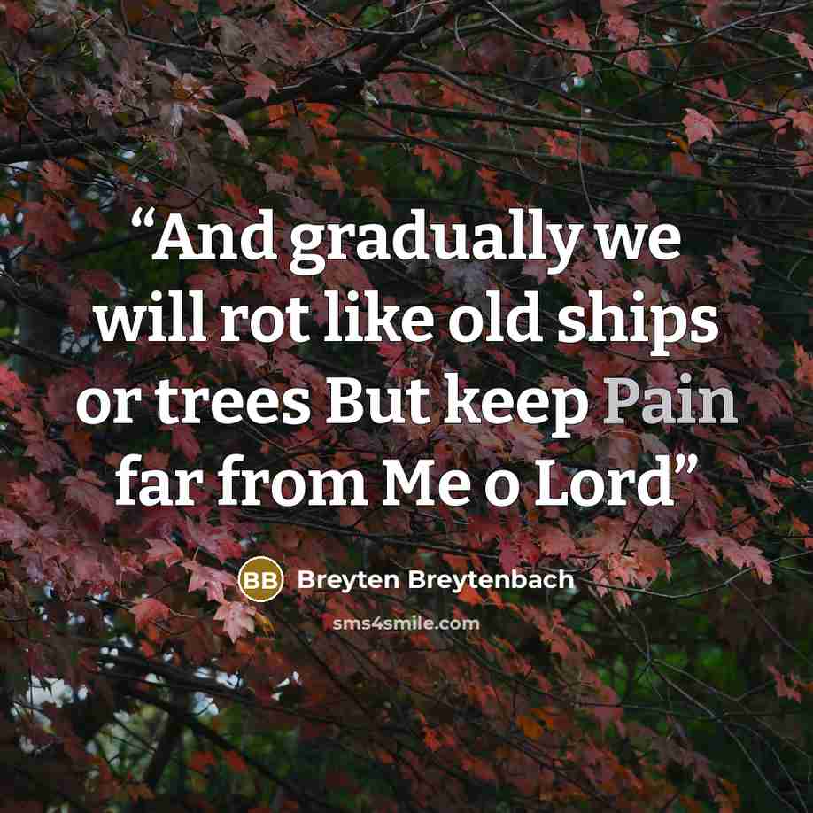 “And gradually we will rot like old ships or trees But keep Pain far from Me o Lord” quote by Breyten Breytenbach
