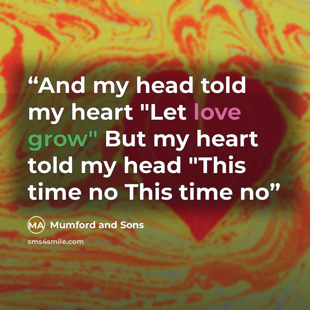 “And my head told my heart "Let love grow" But my heart told my head "This time no This time no” quote by Mumford and Sons