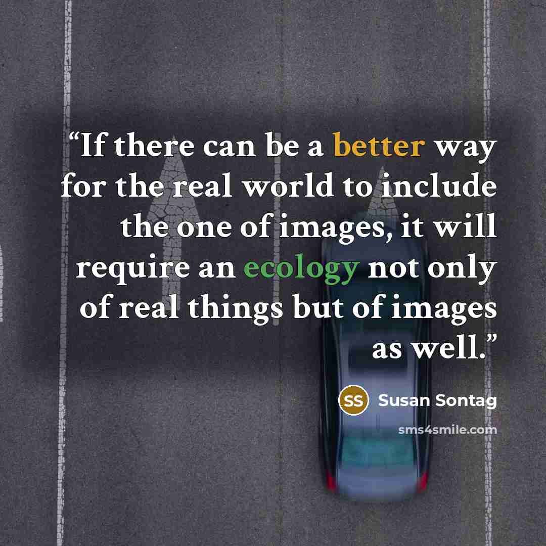“If there can be a better way for the real world to include the one of images, it will require an ecology not only of real things but of images as well.” quote by Susan Sontag