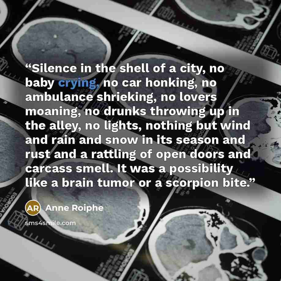 “Silence in the shell of a city, no baby crying, no car honking, no ambulance shrieking, no lovers moaning, no drunks throwing up in the alley, no lights, nothing but wind and rain and snow in its season and rust and a rattling of open doors and carcass smell. It was a possibility like a brain…” quote by Anne Roiphe