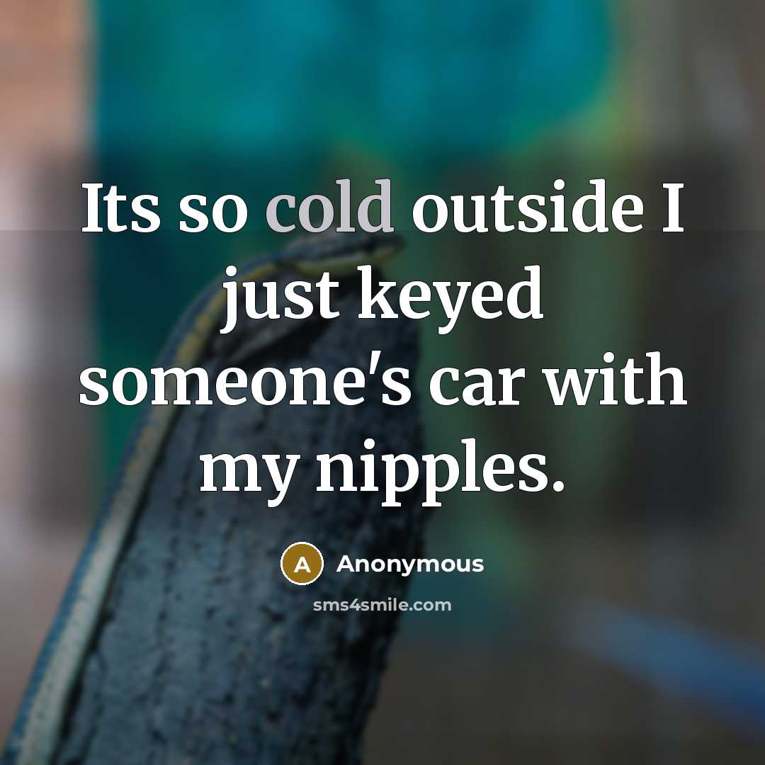 “Its so cold outside I just keyed someone's car with my nipples.” quote by Anonymous