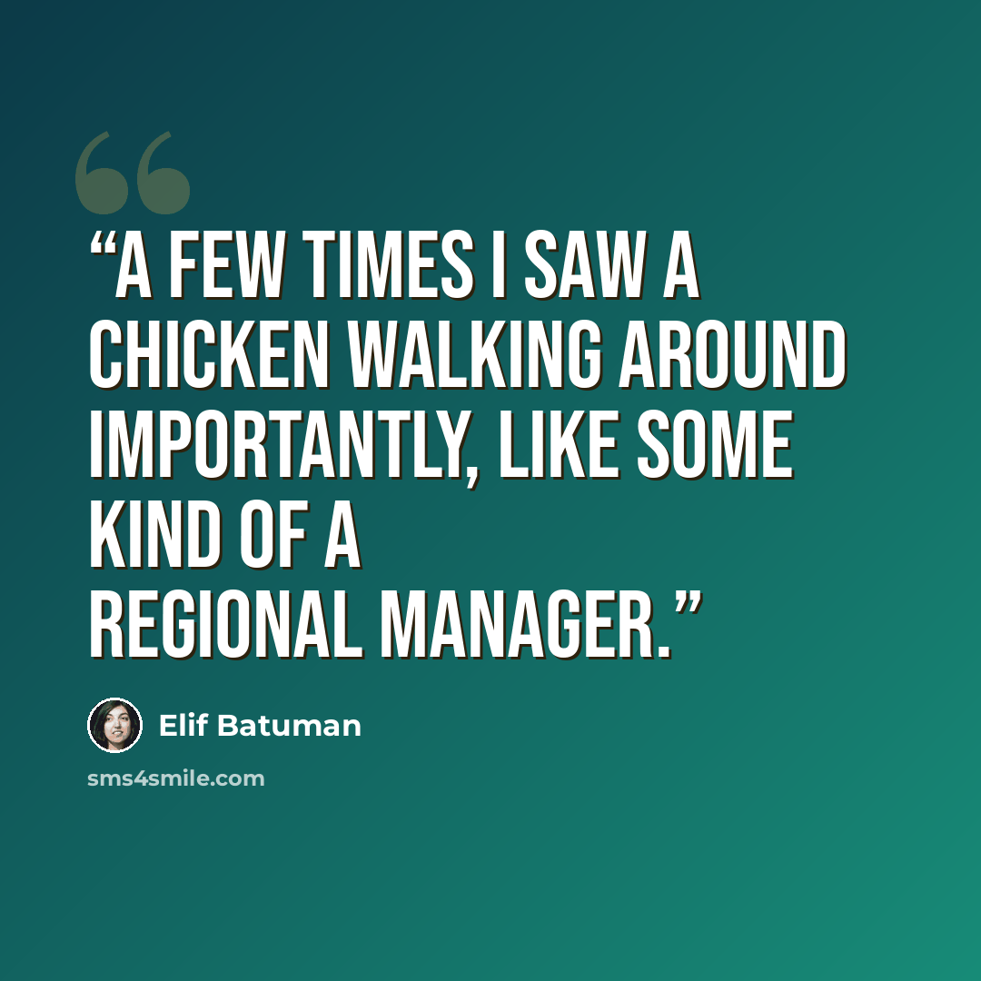 “A few times I saw a chicken walking around importantly, like some kind of a regional manager.” quote by Elif Batuman