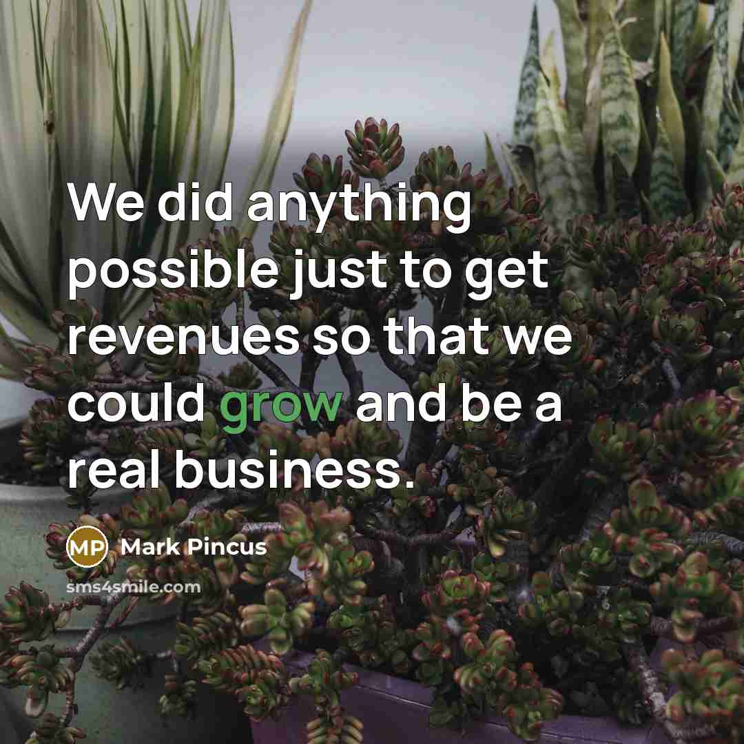 “We did anything possible just to get revenues so that we could grow and be a real business.” quote by Mark Pincus