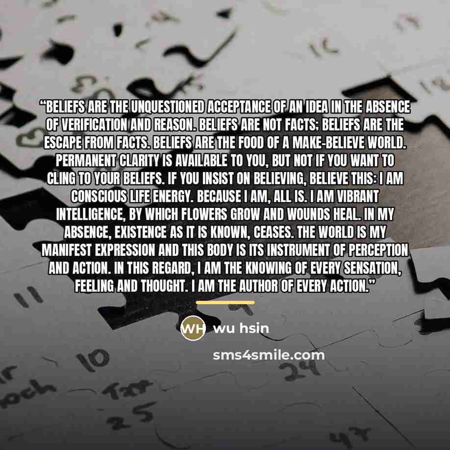 “Beliefs are the unquestioned acceptance of an idea in the absence of verification and reason. Beliefs are not facts; beliefs are the escape from facts. Beliefs are the food of a make-believe world. Permanent clarity is available to you, but not if you want to cling to your beliefs. If you insist…” quote by wu hsin