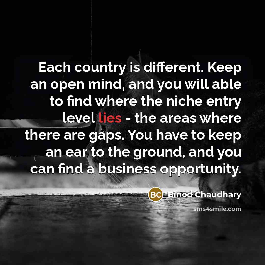 “Each country is different. Keep an open mind, and you will able to find where the niche entry level lies - the areas where there are gaps. You have to keep an ear to the ground, and you can find a business opportunity.” quote by Binod Chaudhary