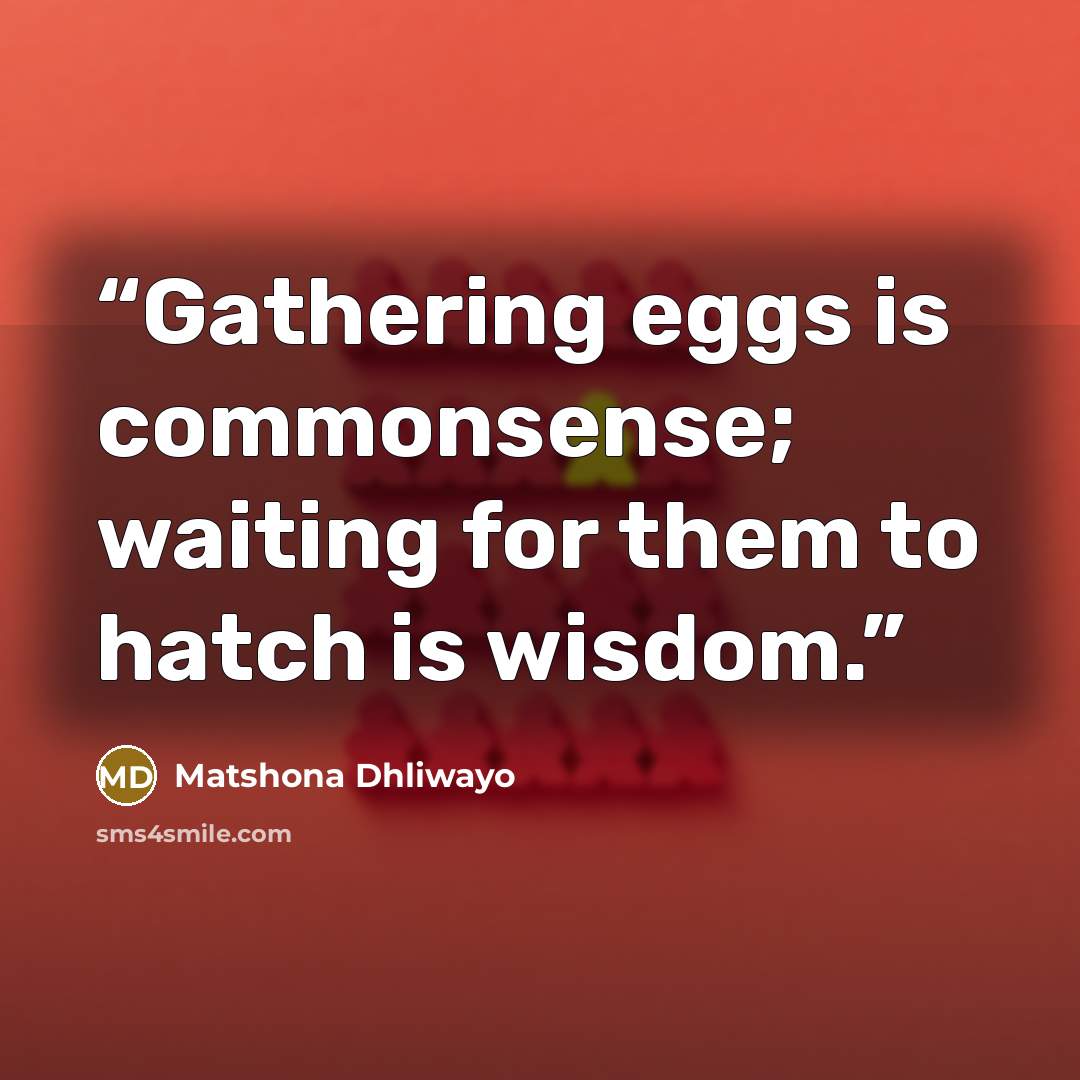 “Gathering eggs is commonsense; waiting for them to hatch is wisdom.” quote by Matshona Dhliwayo