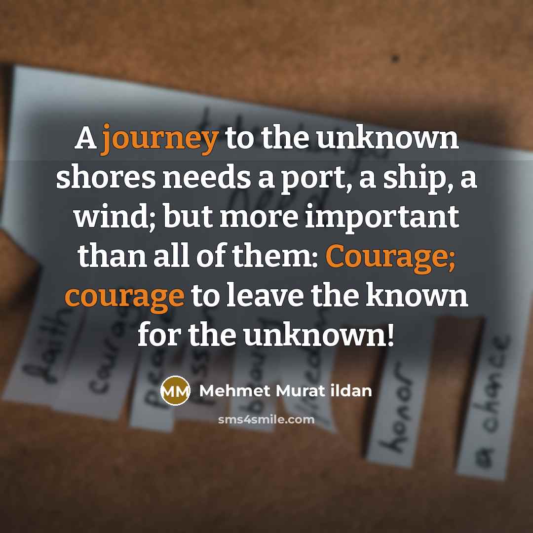 “A journey to the unknown shores needs a port, a ship, a wind; but more important than all of them: Courage; courage to leave the known for the unknown!” quote by Mehmet Murat Ildan