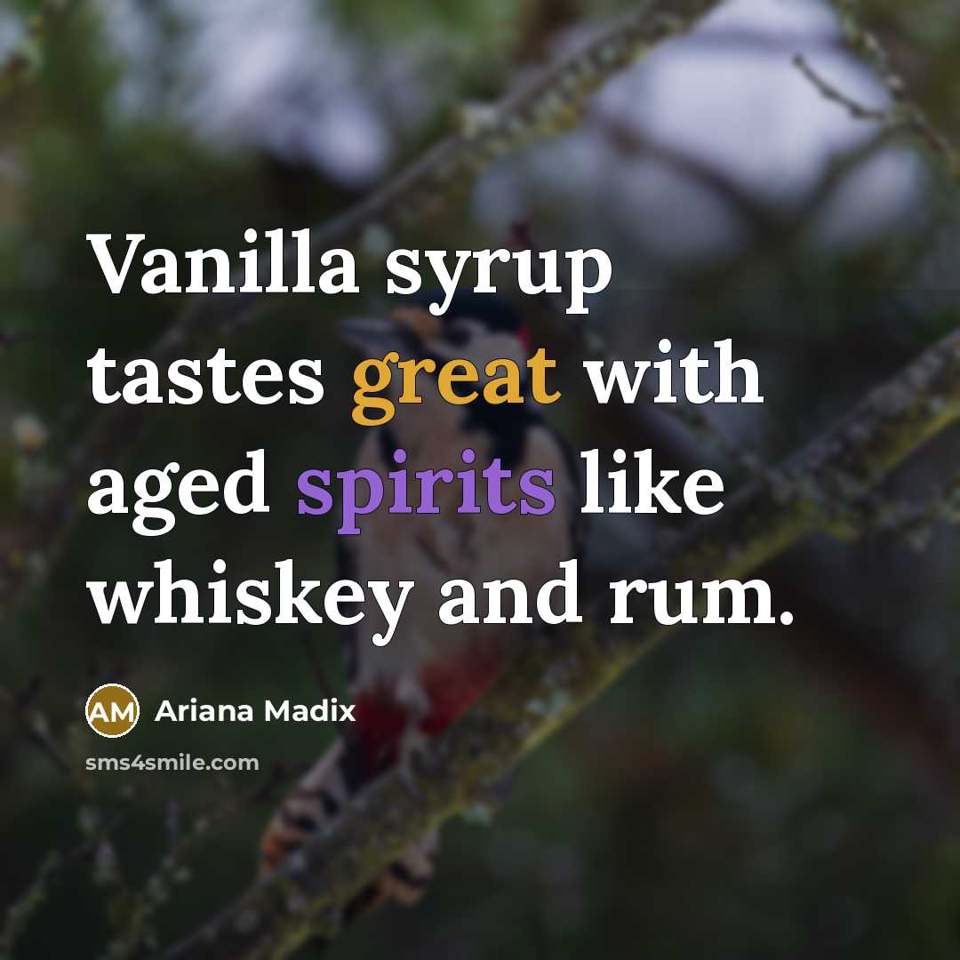 “Vanilla syrup tastes great with aged spirits like whiskey and rum.” quote by Ariana Madix