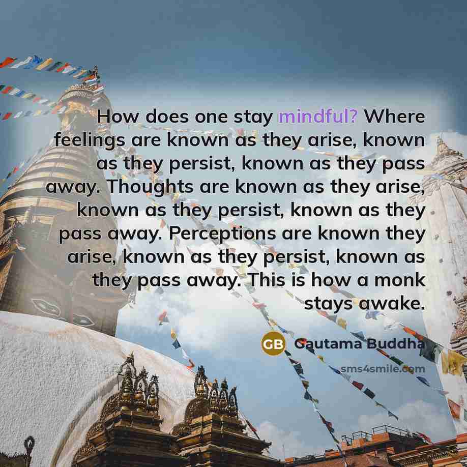 “How does one stay mindful? Where feelings are known as they arise, known as they persist, known as they pass away. Thoughts are known as they arise, known as they persist, known as they pass away. Perceptions are known they arise, known as they persist, known as they pass away. This is how a monk…” quote by Gautama Buddha