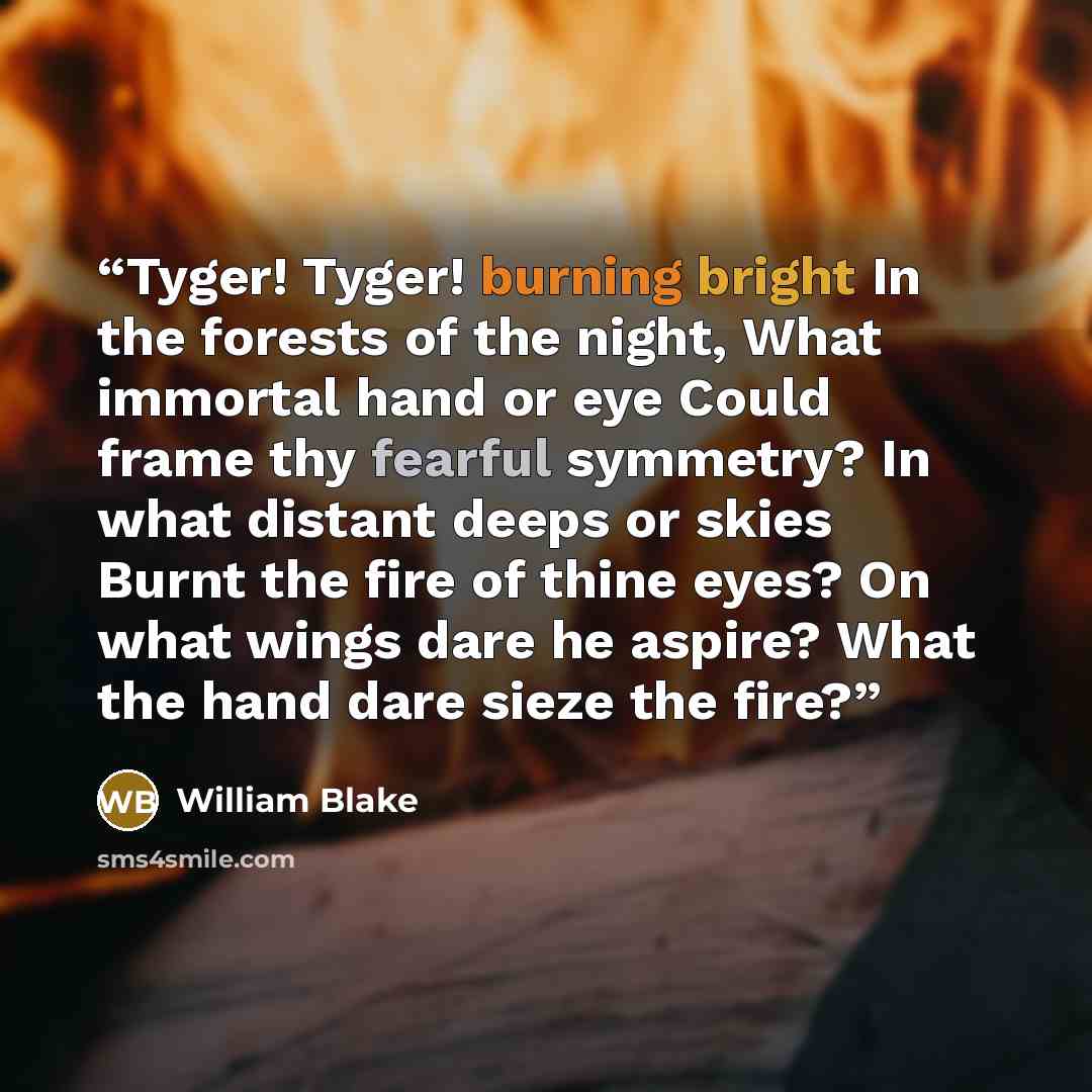 “Tyger! Tyger! burning bright In the forests of the night, What immortal hand or eye Could frame thy fearful symmetry? In what distant deeps or skies Burnt the fire of thine eyes? On what wings dare he aspire? What the hand dare sieze the fire?” quote by William Blake