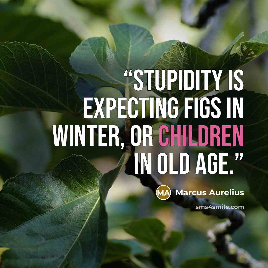 “Stupidity is expecting figs in winter, or children in old age.” quote by Marcus Aurelius