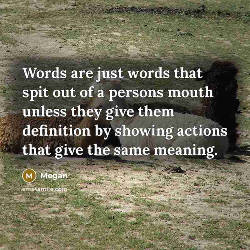 “Words are just words that spit out of a persons mouth unless they give them definition by showing actions that give the same meaning.” quote by Megan