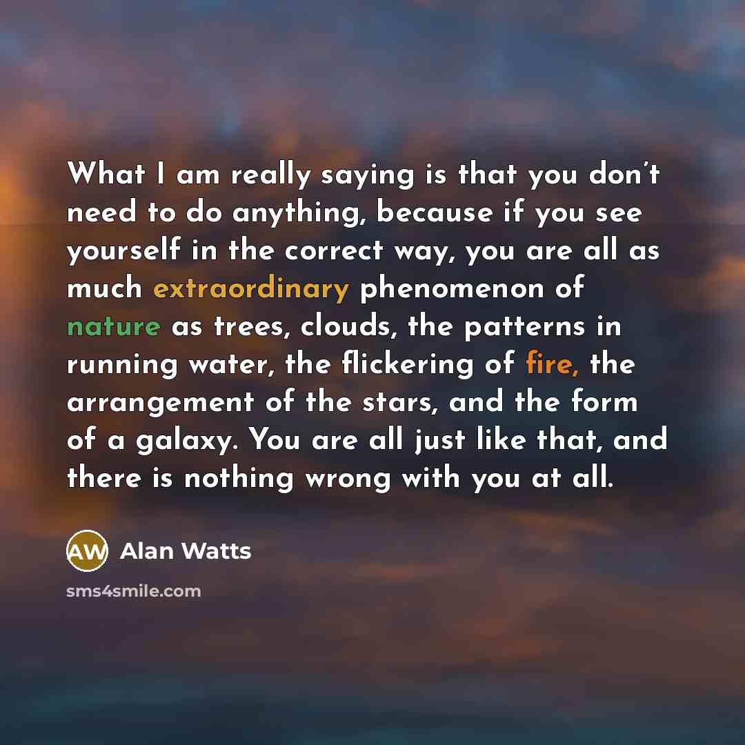 “What I am really saying is that you don’t need to do anything, because if you see yourself in the correct way, you are all as much extraordinary phenomenon of nature as trees, clouds, the patterns in running water, the flickering of fire, the arrangement of the stars, and the form of a galaxy. You…” quote by Alan Watts