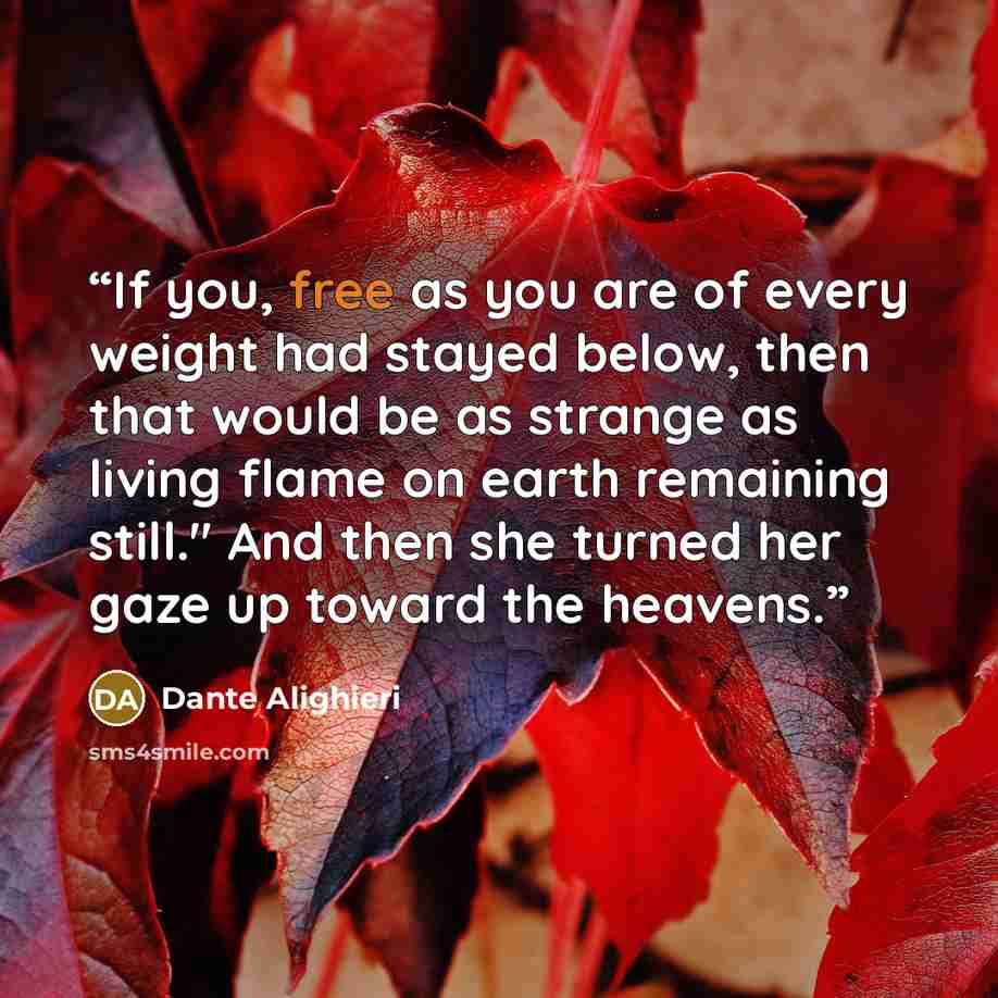 “If you, free as you are of every weight had stayed below, then that would be as strange as living flame on earth remaining still." And then she turned her gaze up toward the heavens.” quote by Dante Alighieri