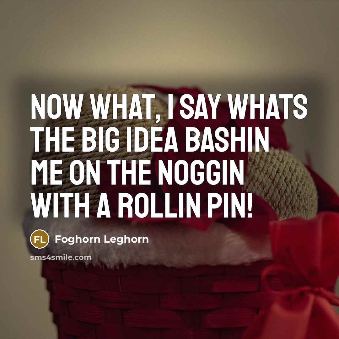 “Now what, I say whats the big idea bashin me on the noggin with a rollin pin!” quote by Foghorn Leghorn