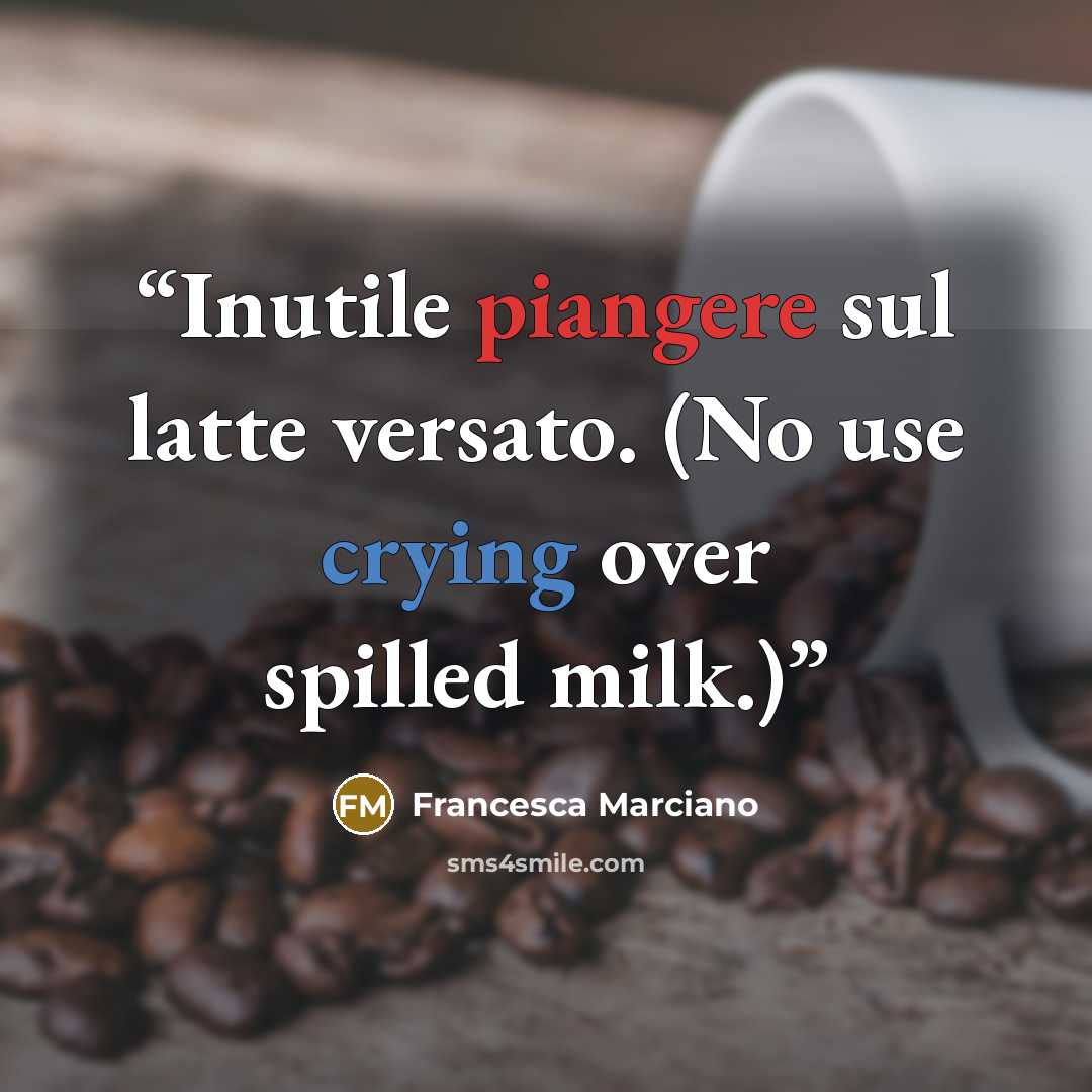 “Inutile piangere sul latte versato. (No use crying over spilled milk.)” quote by Francesca Marciano