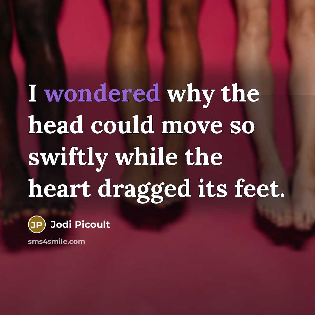 “I wondered why the head could move so swiftly while the heart dragged its feet.” quote by Jodi Picoult